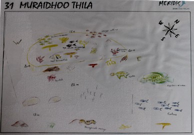 Muraidhoo Thila